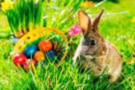 REGALAR  HUEVOS DE CHOCOLATE EN PASCUA DE RESURRECCIÓN