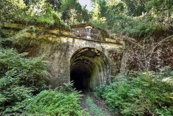 PURÉN, DONDE LA HISTORIA, EL BOSQUE Y SU GENTE CONSTRUYEN UN DESTINO CON IDENTIDAD